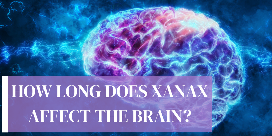 how long does xanax affect the brain