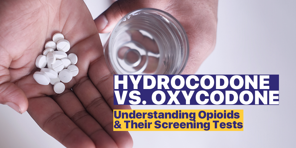 oxycodone ydrocodone